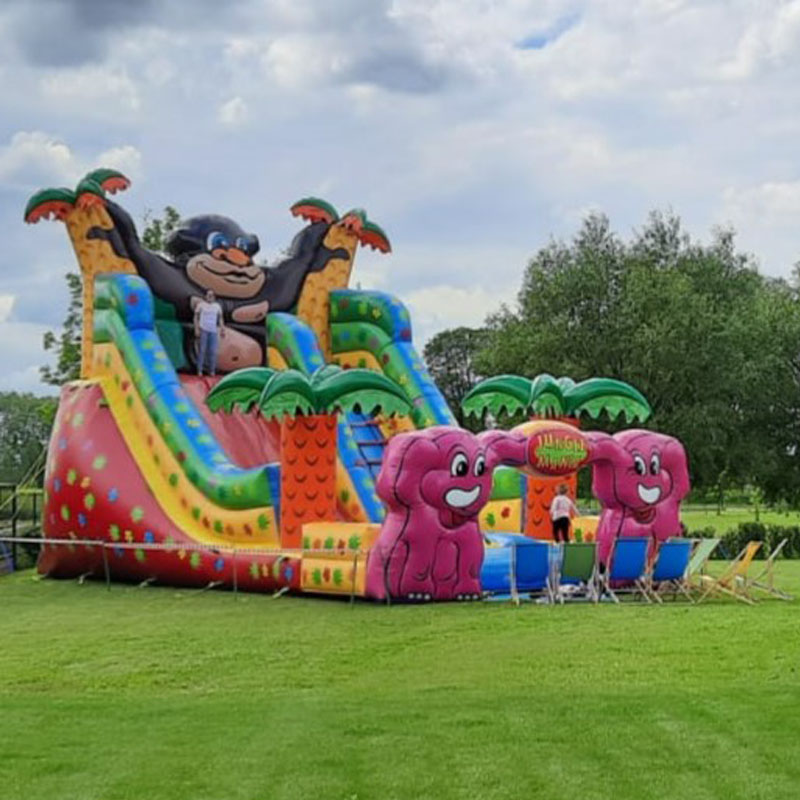 Jungle mania - Wynajem Dmuchanej Zjeżdżalni - Warszawa